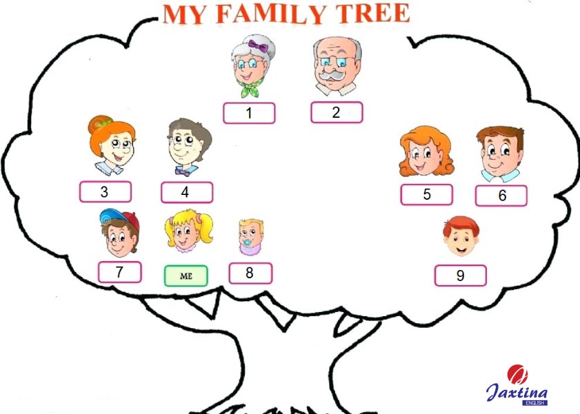 Bạn muốn biết nói về gia đình của mình bằng tiếng Anh? Hãy xem hình ảnh để trau dồi thêm vốn từ vựng về gia đình và viết ra những câu hỏi thú vị.