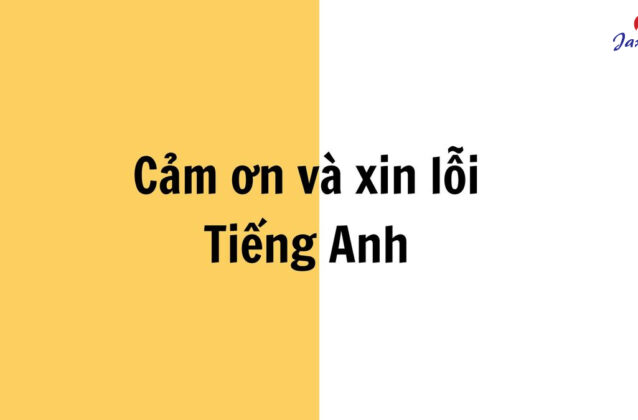 Mẫu câu cảm ơn và xin lỗi Tiếng Anh lịch sự và thông dụng