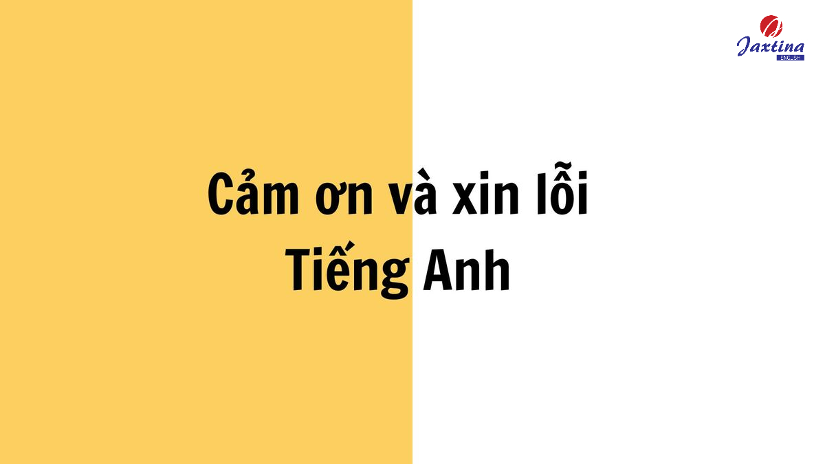 Mẫu câu cảm ơn và xin lỗi Tiếng Anh lịch sự và thông dụng