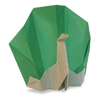 Hướng dẫn gấp Origami con công