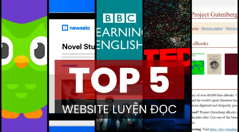 học tiếng anh từ căn bản