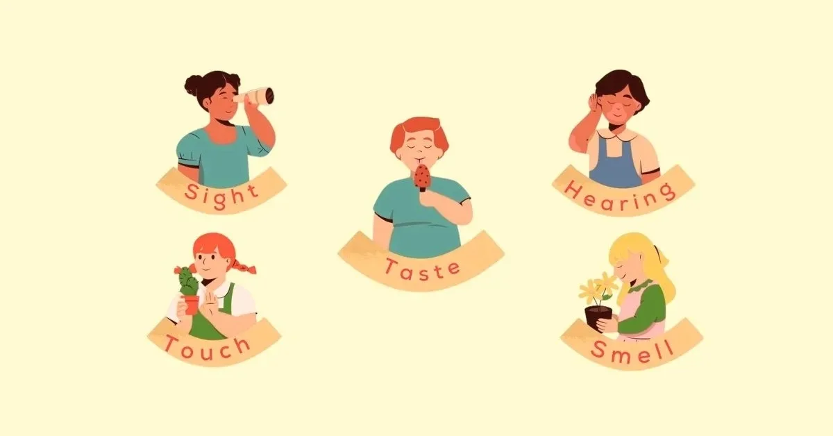 Từ Vựng Các Giác Quan Trong Tiếng Anh Và Ví Dụ