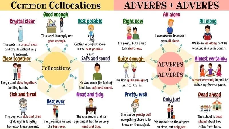 Lộ trình học tiếng Anh cho người mất gốc free, hiệu quả 100% 24 tiếng anh cấp tốc cho người mất gốc